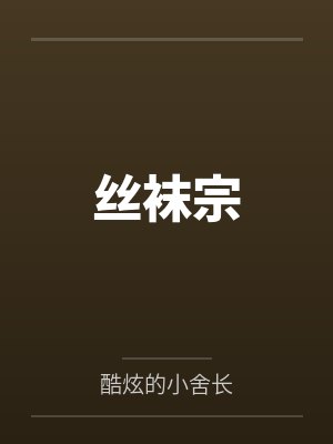 丝袜宗封面