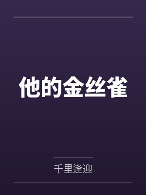 他的金丝雀封面